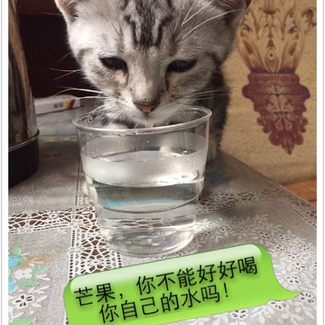 法汉姆学院学位证电子图